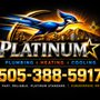 Platinum Star Plumbing Heating & Cooling