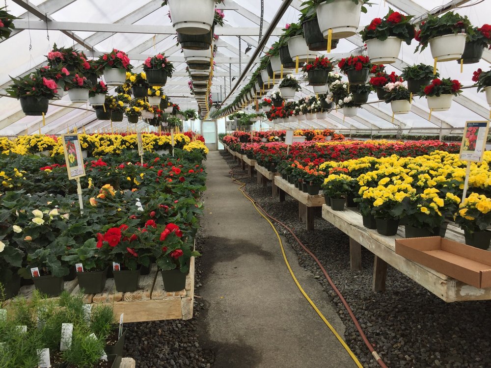 NANTICOKE GARDENS Updated September 2024 1543 Union Ctr Maine Hwy