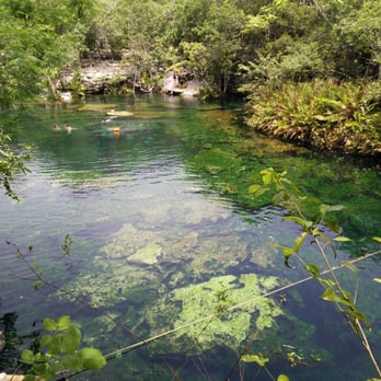 Cenote Jardín del Edén - Free Diving Near Me - Playa del Carmen, ROO