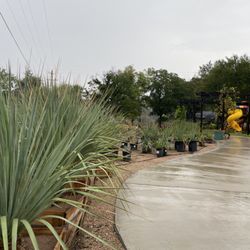 Farmer's Daughter Landscape - Grounds w/ Playground