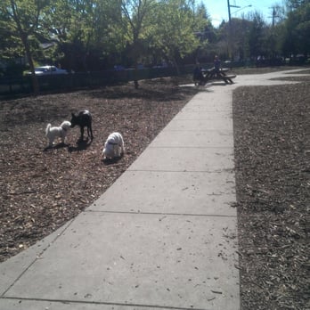 Ohlone Park West - It's small dog day! - Parks Near Me - Berkeley, California