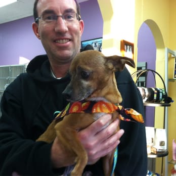 Critter Clippers - Presley loves his snazzy Thanksgiving bandana - Pet Groomers Near Me - Mountain View, California