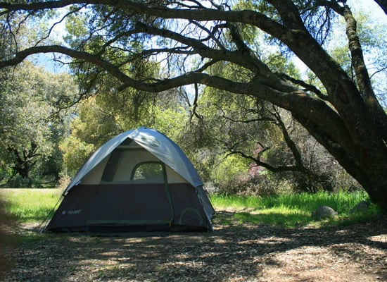 Potwisha Campground by null