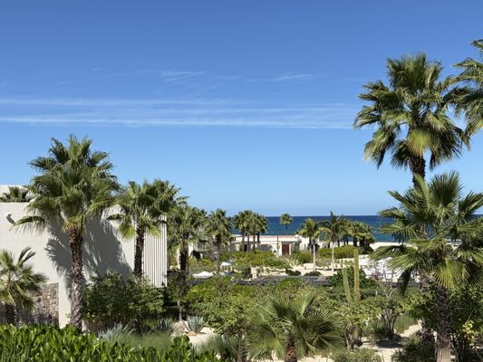 Four Seasons Resort Los Cabos at Costa Palmas by null