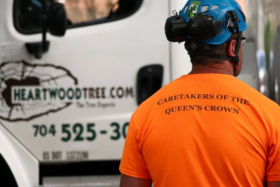 Heartwood Tree Care - tree service in Charlotte, NC