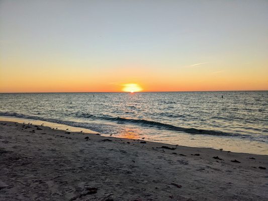 Sand Key Park by null