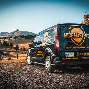 Mice Masters - Pest Control Near Me - Denver, Colorado Mice Masters - Pest Control Near Me - Denver, Colorado