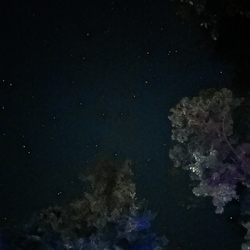 Cozy Acres Family Campground - The stars are so bright