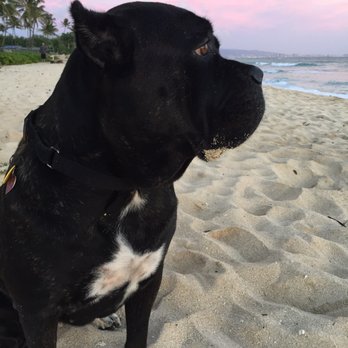 Ewa Beach Park - Parks Near Me - Ewa Beach, Hawaii