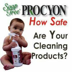 American Carpet Cleaning