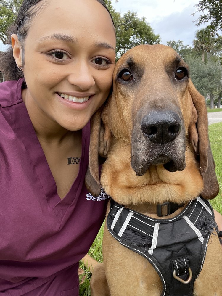 PAWZ AND CLAWZ PET CARE Eustis, FL Yelp