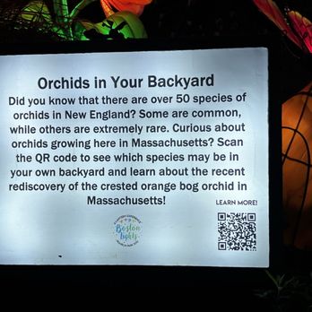 Franklin Park Zoo - Orchids information. - Zoos Near Me - Boston, Massachusetts Franklin Park Zoo - Orchids information. - Zoos Near Me - Boston, Massachusetts