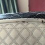 Photo of Chicago Pests