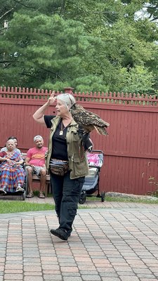 Connecticut's Beardsley Zoo by null