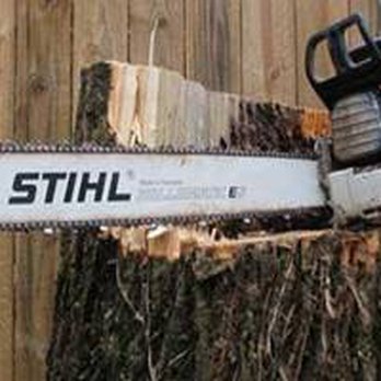 Gonzalez Tree Service - Tree Services Near Me Gonzalez Tree Service - Tree Services Near Me