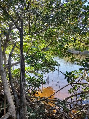 Secret Woods Nature Center by null