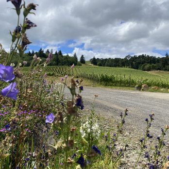 Cristom Vineyards - blue flowers in the foreground - Wineries Near Me - Salem, Oregon Cristom Vineyards - blue flowers in the foreground - Wineries Near Me - Salem, Oregon