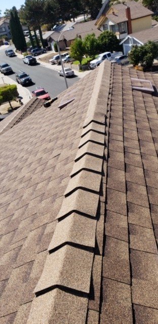 Slide of Bizzy Bee Builders