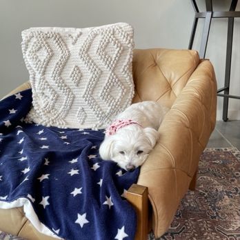 Brooks Note Winery - Mascot, cute as a button. - Wine Tasting Room Near Me - Petaluma, California Brooks Note Winery - Mascot, cute as a button. - Wine Tasting Room Near Me - Petaluma, California