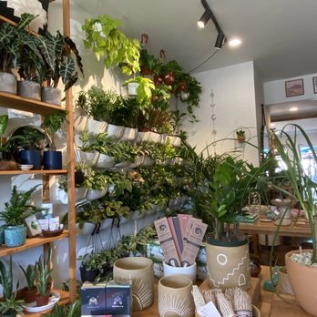 Greenwood Shop - Nurseries & Gardening Near Me - Studio City, California Greenwood Shop - Nurseries & Gardening Near Me - Studio City, California