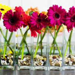 Flowers By Susan