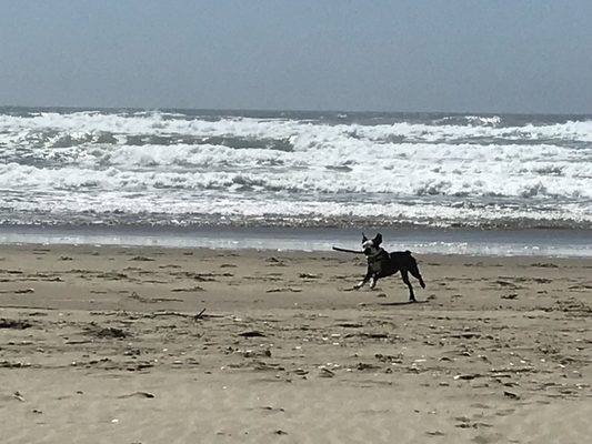 Beachside State Park by null