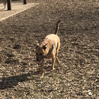 Sherwood Dog Park - Dog Parks Near Me - Paso Robles, California Sherwood Dog Park - Dog Parks Near Me - Paso Robles, California