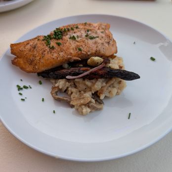 Alchemy - Salmon - New American Near Me - Murphys, California