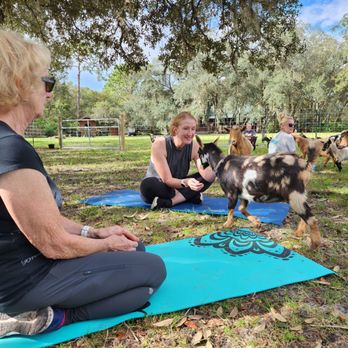 Oak Aged Farm - Petting Zoos Near Me - St. Cloud, Florida