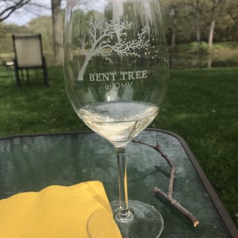 Old Mill Vineyard - Having a delicious glass of paradise wine by OMV sitting at their peaceful pond. - Wine Tasting Room Near Me - Metamora, Illinois