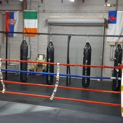 Hard Knocks Gym