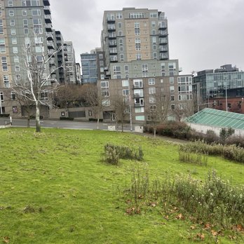 Olympic Sculpture Park - Park - Parks Near Me - Seattle, Washington Olympic Sculpture Park - Park - Parks Near Me - Seattle, Washington