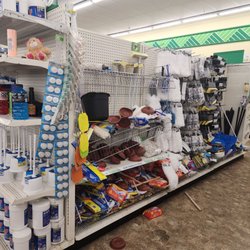 Dollar Tree - Lazy