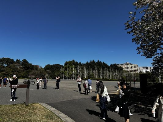 Shinjuku Gyoen National Garden by null
