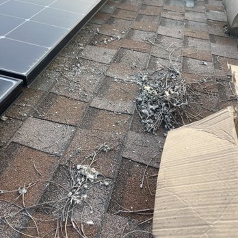 Solar Panel Cleaning Pros - Solar Panel Cleaning Near Me