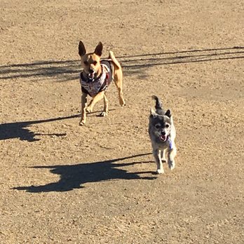 Yellen Park - Dog Parks Near Me - Palmdale, California Yellen Park - Dog Parks Near Me - Palmdale, California