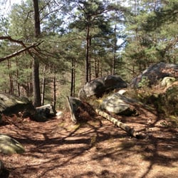 Forêt de Fontainebleau
