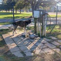 Foley Dog Park - Nice water station