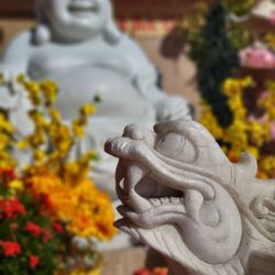 Indo-Chinese Association