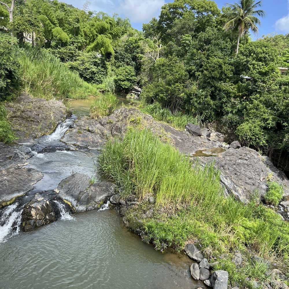 Riocafé - River in the back - Breakfast & Brunch Near Me - Orocovis, Puerto Rico Riocafé - River in the back - Breakfast & Brunch Near Me - Orocovis, Puerto Rico