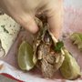 Photo of Toritos Carnitas