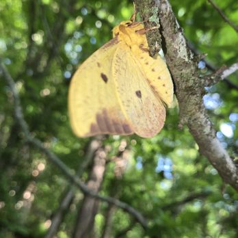 Fairy Stone State Park - Hiking Near Me - Stuart, Virginia