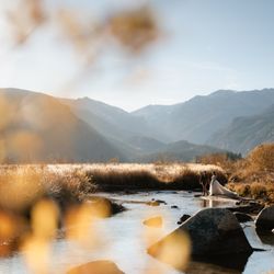 Authentic Collective - Colorado Elopement Photographers and Videographers