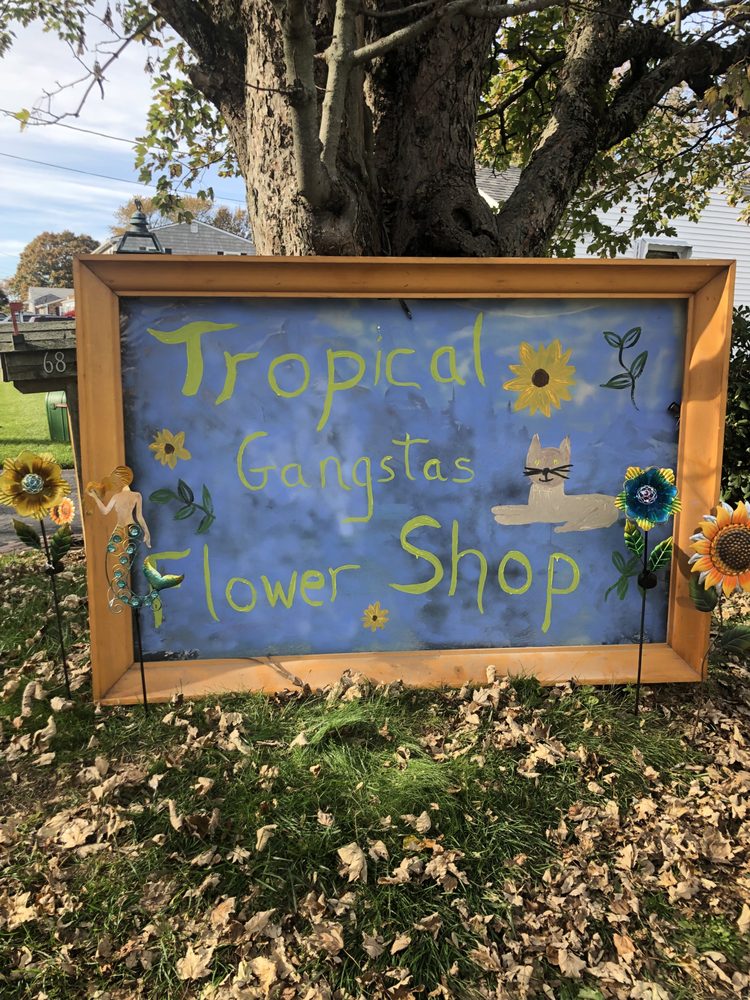 TROPICAL GANGSTERS FLOWER SHOP Updated June 2024 45 Photos