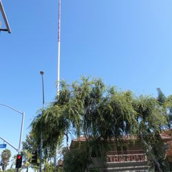 The Pole