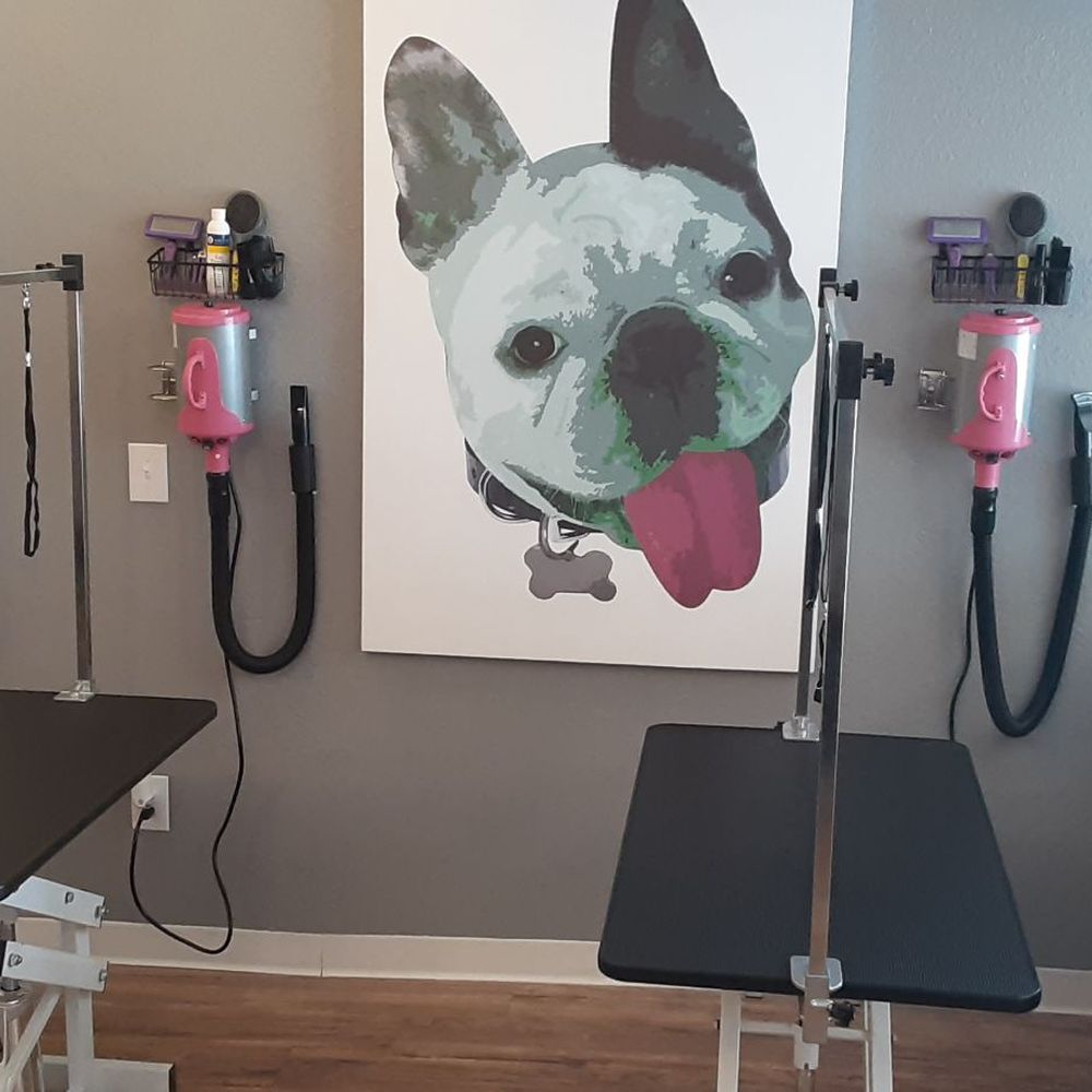 Bitches N Bubbles - Adjustable grooming tables for comfort and stability - Pet Groomers Near Me - Long Beach, California Bitches N Bubbles - Adjustable grooming tables for comfort and stability - Pet Groomers Near Me - Long Beach, California