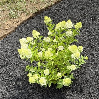 Maplewood Landscaping - Landscaping Near Me - Circleville, Ohio Maplewood Landscaping - Landscaping Near Me - Circleville, Ohio