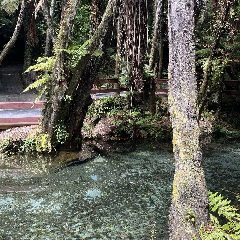 Mitai Maori Village - Arts & Entertainment Near Me - Rotorua, BOP