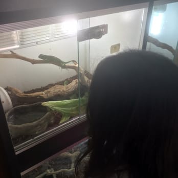 Pet Palace - Pet Stores Near Me - Covina, California