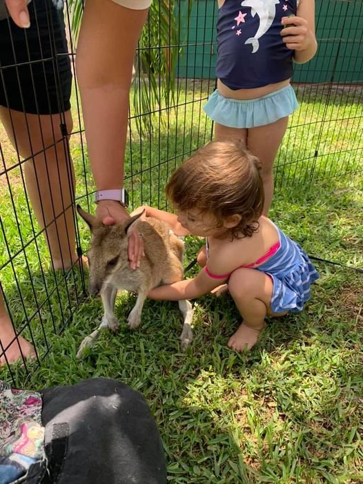 Horseback Riding NOAH’S LANDING MOBILE PETTING ZOO Request a Quote